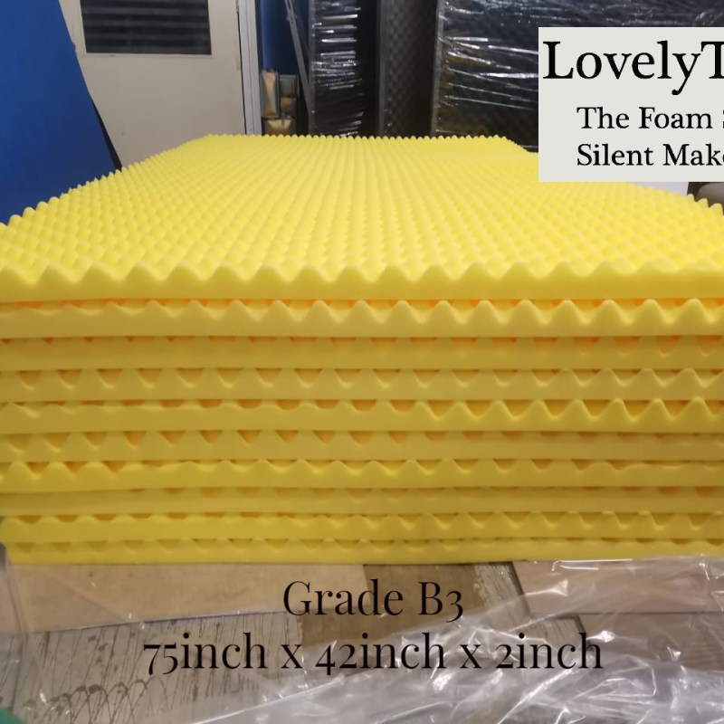 Sound Insulation Foam Waterproof & Fireproof The Foam Shop